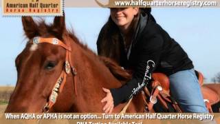 American Half Quarter Horse Registry [upl. by Waugh119]