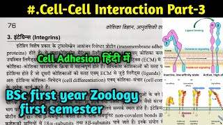 Integrin Cell Adhesion molecules  cell cell interactions [upl. by Vadnee]