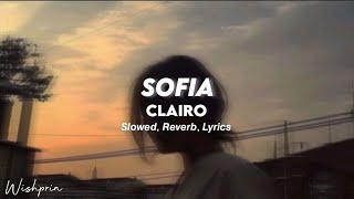 sofia  clairo  slowed  reverb Lyrics tiktok version [upl. by Nonac]