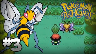 Lets Play Pokemon Ash Gray  Part 3  Bee Mine [upl. by Anirres]