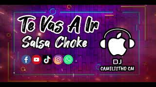 ðŸŽµTe Vas A IrðŸŽµ Salsa Choke DJ Camiliitho CM [upl. by Eyllek]