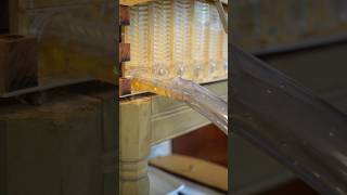 Finally harvesting honey from the Flow Hive Pt3 beekeeping bees flowhive honey honeyharvest [upl. by Verbenia]