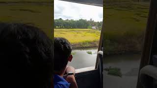 shortsvideo travel ac roadalapuzha changanacherry road paddy fieldksrtc side seatshort video [upl. by Courtney285]