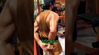 GYM LOVER POWER MOTIVATION 💪 motivation viral shortsvideo arnoldpress youtubeshorts 🗿💪 [upl. by Lovash]