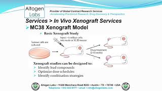 Altogen Labs MC38 Xenograft Service Colon Cancer [upl. by Yllak]