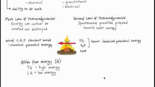 Introduction to Thermodynamics and Protein Foldingmp4 [upl. by Shlomo672]