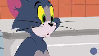 The Tom and Jerry Show  Tuffy Love  Funny animals cartoons for kids [upl. by Seavey]