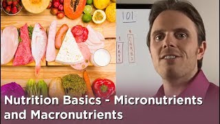 Nutrition Basics  Micronutrients and Macronutrients [upl. by Enellek]