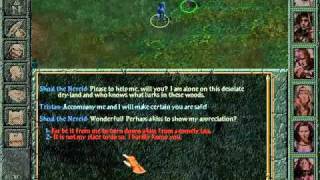 Baldurs Gate Playthrough 27  West of High Hedge Shoal the Nereid [upl. by Oluas]