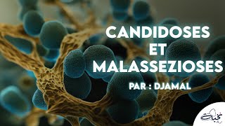 Parasitolgie  Candidoses et malassezioses  QCMs Par DJAMEL [upl. by Ailalue]