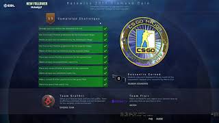 CSGO Katowice 2019 diamond coin in game [upl. by Kreitman]