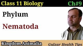 Phylum Nematoda  kingdom Animalia  class 11th Biology [upl. by Sarene]