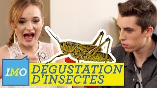 DÉGUSTATION  On mange des INSECTES  😱😖😂 [upl. by Nicolea]