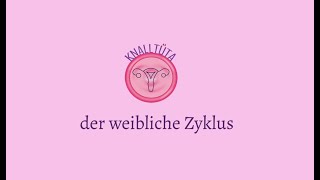 Der weibliche Zyklus [upl. by Anawqahs274]