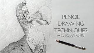 Pencil Drawing Techniques [upl. by Henri]