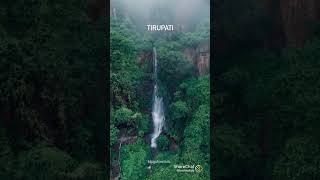 TTD liketirumala tirupathi devasthanam like love subscribe song viralvideo video subscribers [upl. by Hampton453]