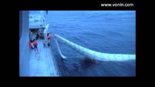 mv Fagraberg  Good catch of Blue Whiting [upl. by Sancho]