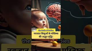 The BRAIN of Babies 🧠 facts amazingfacts baby brain [upl. by Ahsirpac]