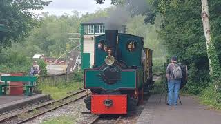 Decauville steam loco Lily at Amberley [upl. by Lorola533]