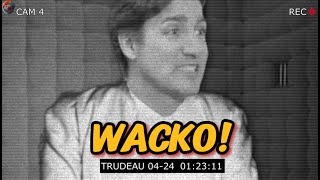 Trudeaus a Wacko quotbut he wont say itquot meme [upl. by Nalced411]