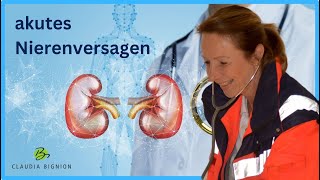 Alarmstufe Rot Akutes Nierenversagen entschlüsselt  Prärenal Renal Postrenal einfach erklärt [upl. by Garibald613]