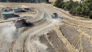 Canola harvest picking up the windrows [upl. by Scarito740]