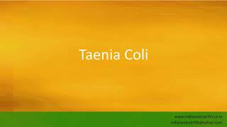 Pronunciation of the words quotTaenia Coli  Tenia Coliquot [upl. by Bouldon]