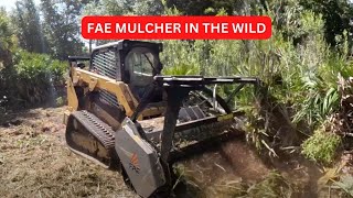 Forestry Mulching Land in South West Florida with our new FAE Forestry Mulcher [upl. by Allebasi]