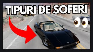 TIPURI DE SOFER 4  BEAMNG 61 [upl. by Semreh]