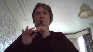 Gasoline Alley Rod Stewart cover on tin whistle [upl. by Holcomb]