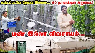 Hydroponics  25 சென்டில் ஒரு ஏக்கருக்கான மகசூல்  மண்ணே இல்லாமல் விவசாயம்  Ooty  Pasumai Vikatan [upl. by Larry359]