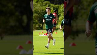 Rabbitohs Pre Season Spotlight  Ashton Ward [upl. by Wachtel]