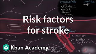 Risk factors for stroke  Circulatory System and Disease  NCLEXRN  Khan Academy [upl. by Yngad832]