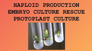 Haploid Production  Embryo culture Rescue  Protoplast culture and its Isolation  Amitian Notes [upl. by Della]