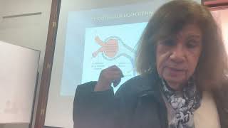 FISIOPATOLOGIA Insuficiencia renal aguda Sem 14 parte 2 [upl. by Sidoeht]