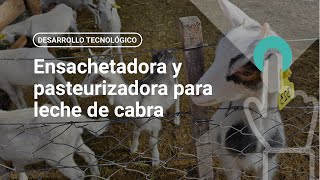 Ensachetadora y pasteurizadora para leche de cabra [upl. by Tanner]