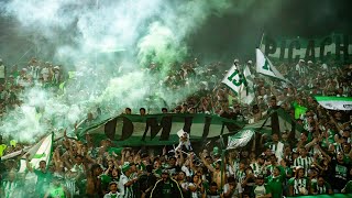 La Hinchada Del Verde Con Su Fiesta Sin Igual 🇳🇬  Los Del Sur Siempre Presentes [upl. by Nosmas]