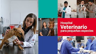 Hospital Veterinario para Pequeñas Especies  Infraestructura  UPAEP [upl. by Ioves403]