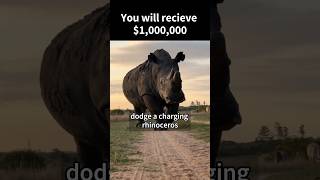 Dodge a rhinos charge 10 times [upl. by Daniala]