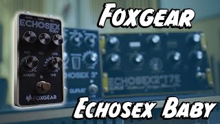 Tape Echo In A Box Foxgear Echosex Baby [upl. by Elwee]