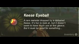 Keese EyeballWing  Farming Location  Zelda BOTW [upl. by Willem]