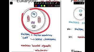 Microbiology 1  Introduction of Microbiology [upl. by Brentt]