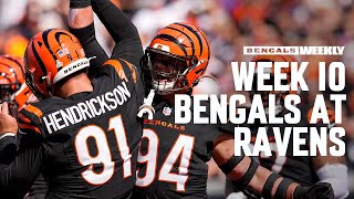 Preview Week 10 Bengals at Ravens  Bengals Weekly [upl. by Mabelle]