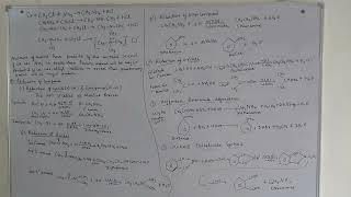 Class 12 Chemistry Chapter 9 Amines education chemistry exam boardexam [upl. by Enoj]