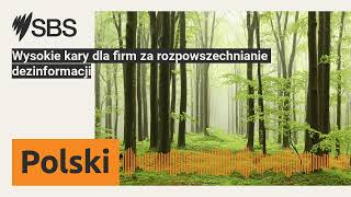 Wysokie kary dla firm za rozpowszechnianie dezinformacji  SBS Polish  SBS po polsku [upl. by Bogart372]