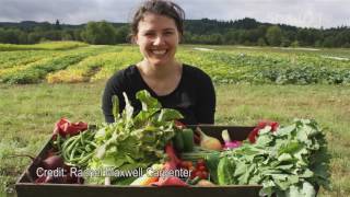 Eating Well with Nanaimo Foodshare  Change the World  S01E05 [upl. by Borlase688]