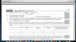 How to Fill out Form 1120S [upl. by Serica279]