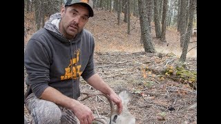 Wolf hunts caribou  Natures Epic Journeys Episode 2 Preview  BBC [upl. by Aliemaj]