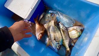 THE FISH ARE COMING IN  2 Days Fishing  Lobster  Bass amp Bream [upl. by Laved]