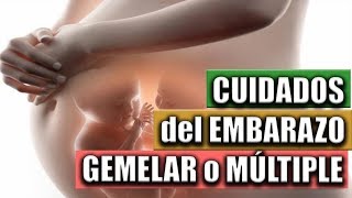 EMBARAZO GEMELAR o MÚLTIPLE  consejos de alimentación y cuidados [upl. by Orlando]